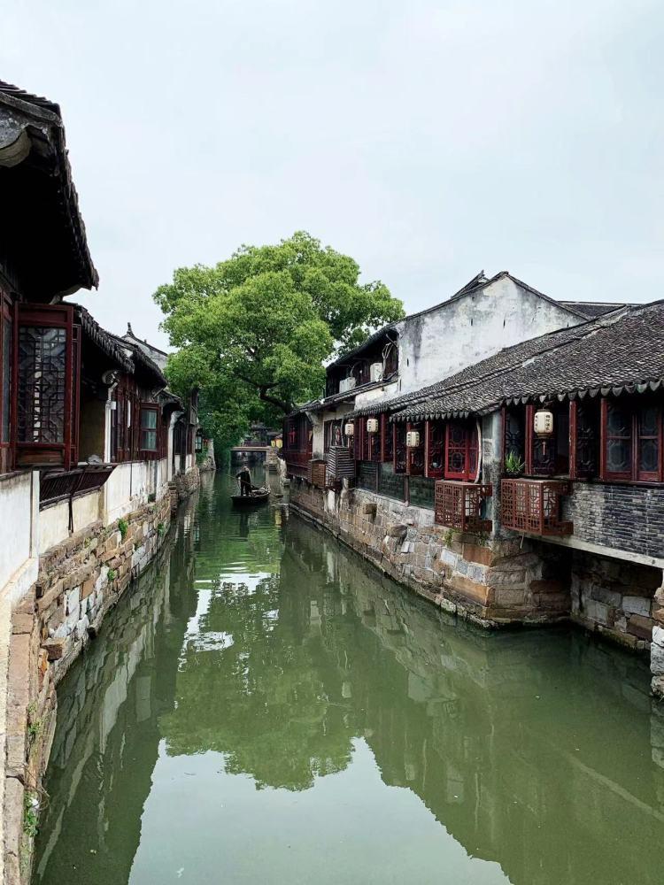 蒿坪毛尖是紫阳蒿坪硒谷生态区生产的吗？游戏画面